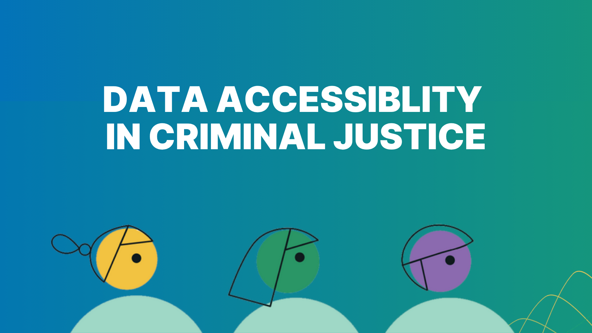 Data Accessibility in Criminal Justice